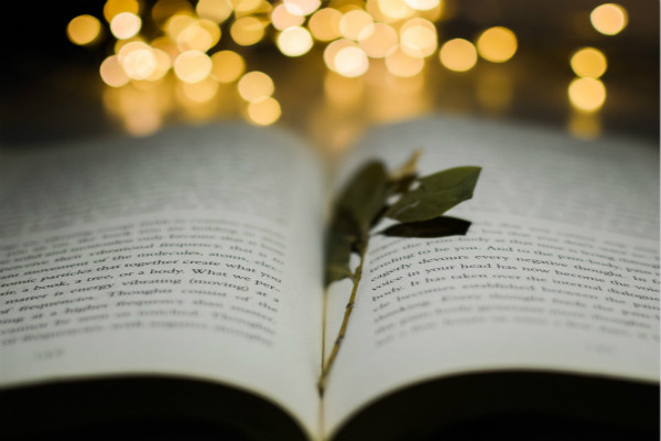 [托福哪项提分最容易]托福50道最容易出错的语法题（6）